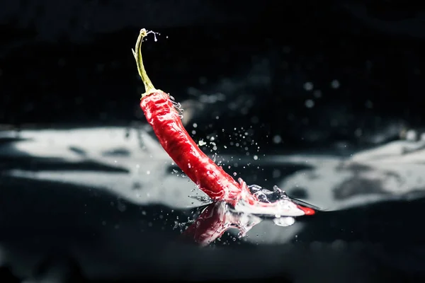 Chili pepper falling in water — Stock Photo