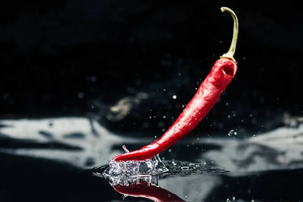 Chili pepper falling in water — Stock Photo