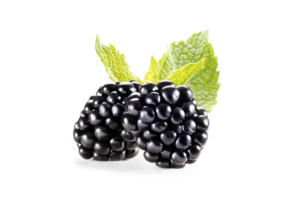 Blackberries with mint leaves — Stock Photo