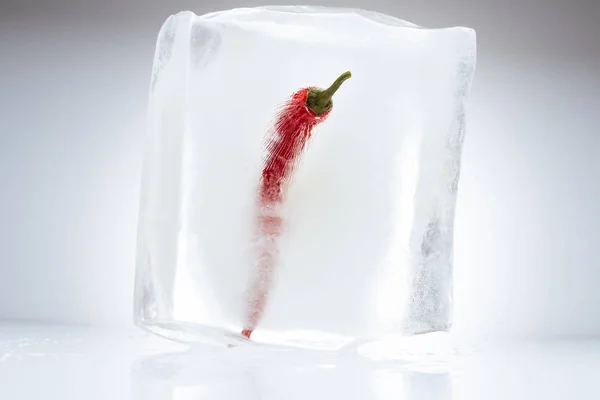 Chilipfeffer im schmelzenden Eis — Stockfoto