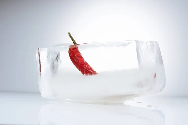 Chili pepper in melting ice — Stock Photo