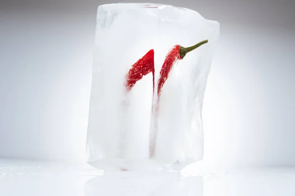 Chili pepper in melting ice — Stock Photo