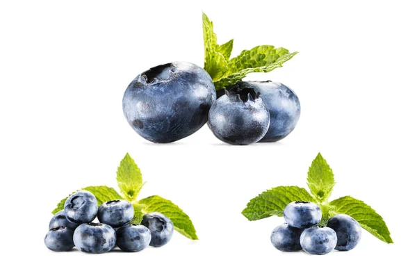 Collage with  blueberries on white — Stock Photo