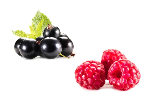 Goosberries and raspberries collage — Stock Photo