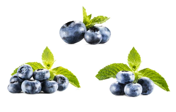 Collage mit Bergen von Blaubeeren — Stockfoto