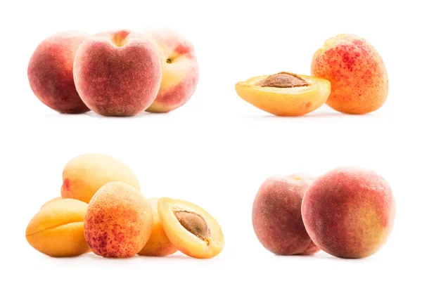 Collage with peaches and apricots — Stock Photo