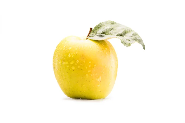 Ripe apple with water drops — Stock Photo