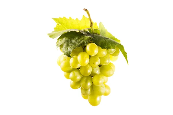 Racimo de uvas frescas - foto de stock