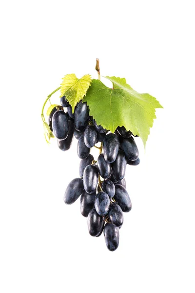 Racimo de uvas frescas - foto de stock