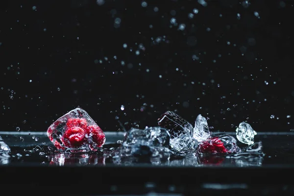 Frutas congeladas en cubitos de hielo - foto de stock