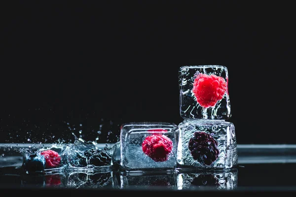 Frutas congeladas en cubitos de hielo - foto de stock