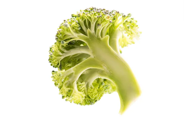 Ramo brócolis maduro saudável — Fotografia de Stock