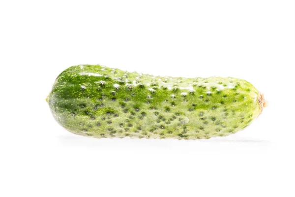 Ripe fresh organic cucumbe — Stock Photo