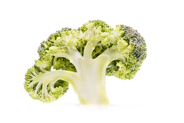 Sano ramo di broccoli maturi — Foto stock