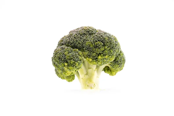 Healthy ripe broccoli branch — Stock Photo