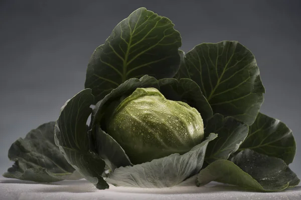 Healthy cabbage covered in water drops — Stock Photo
