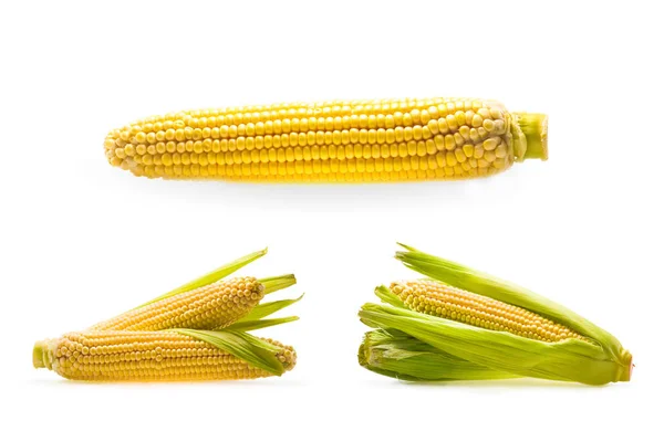 Mazorcas de maíz crudas - foto de stock