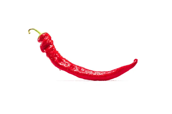 Chili pepper — Stock Photo