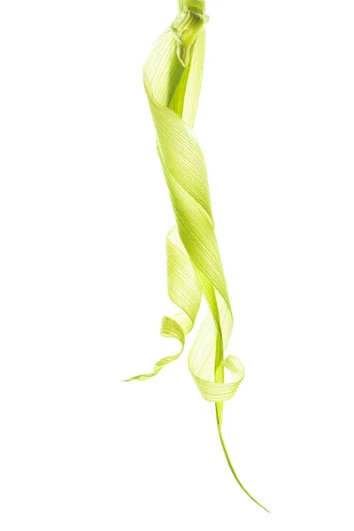 Hermosos rizos florales - foto de stock