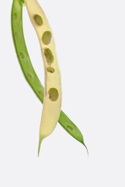 Beautiful composition with pea pods — Stock Photo
