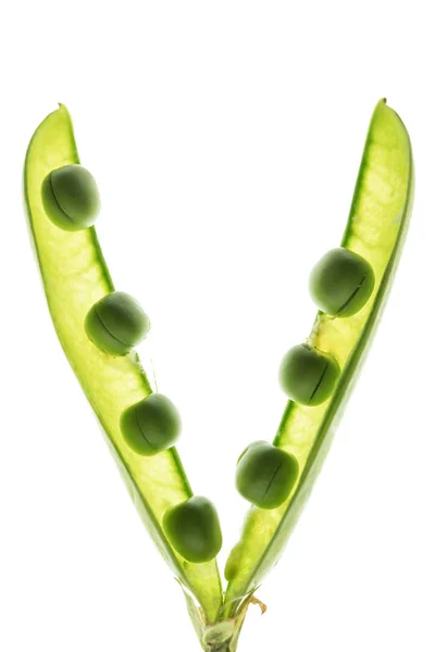 Healthy split pea pod — Stock Photo