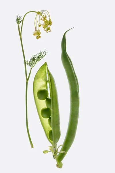 Beautiful composition with pea pods — Stock Photo