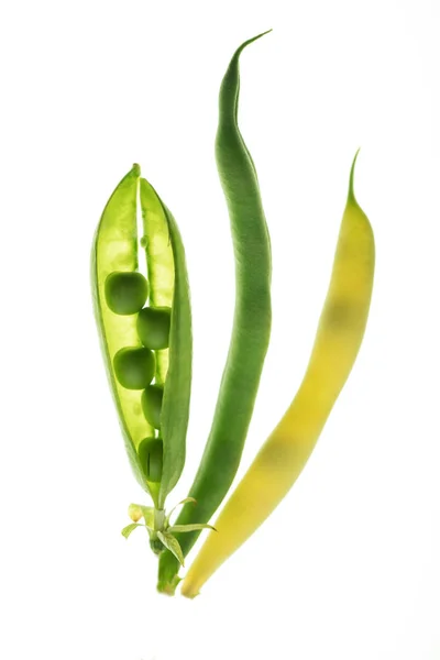 Beautiful composition with pea pods — Stock Photo