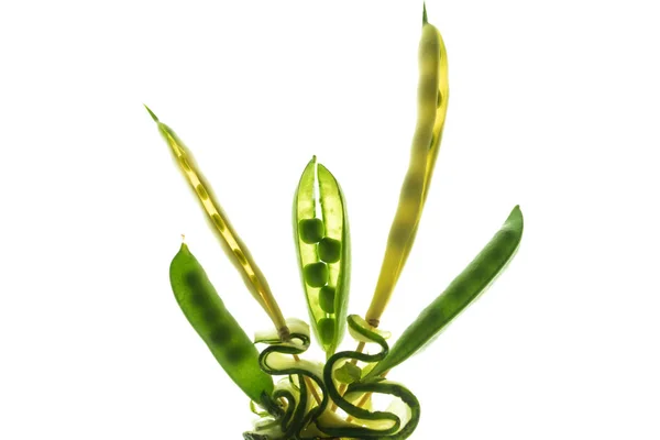 Beautiful composition with pea pods — Stock Photo