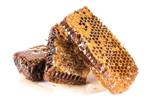 Fresh healthy honeycombs — Stock Photo