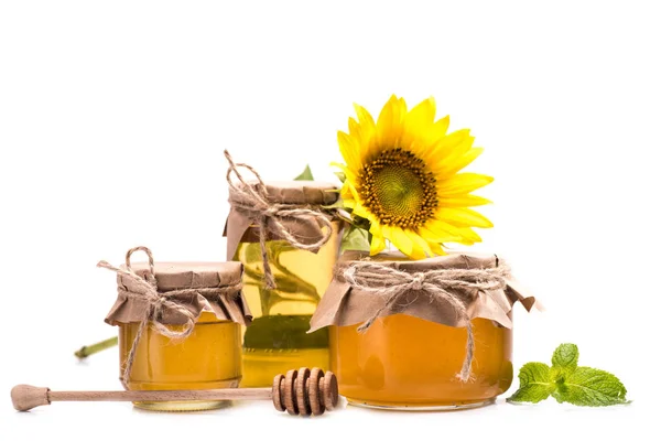 Girasol y miel en frascos de vidrio - foto de stock