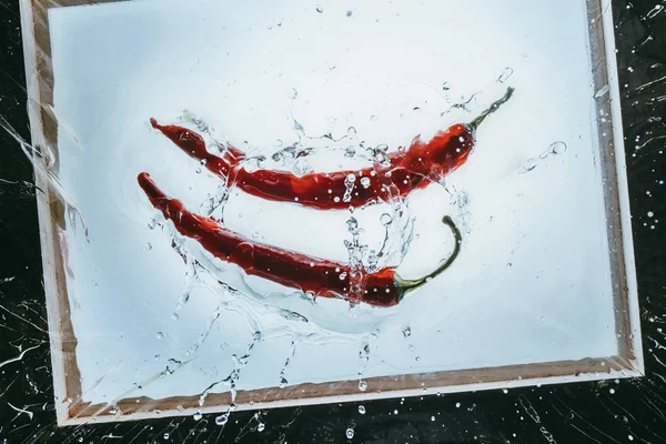 Fresh chili peppers — Stock Photo