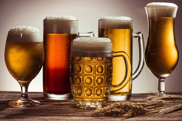 Sortimento de cerveja em copos — Fotografia de Stock