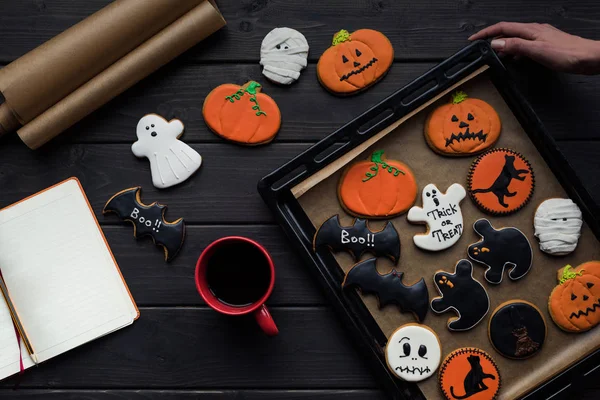 Belle composition halloween — Photo de stock