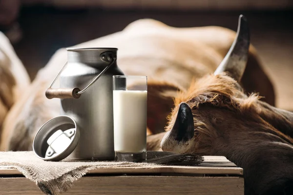 Vaca y leche en vaso - foto de stock