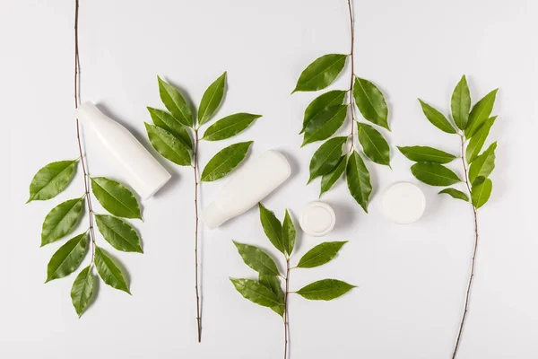 Cream and lotion with green leaves — Stock Photo