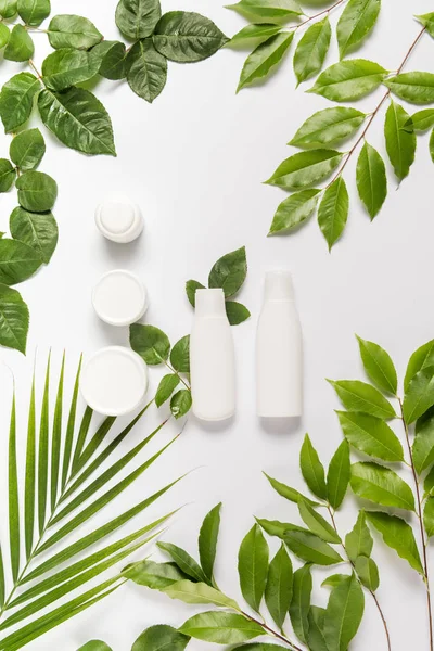 Cream and lotion with leaves — Stock Photo