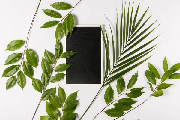 Digital tablet with leaves — Stock Photo