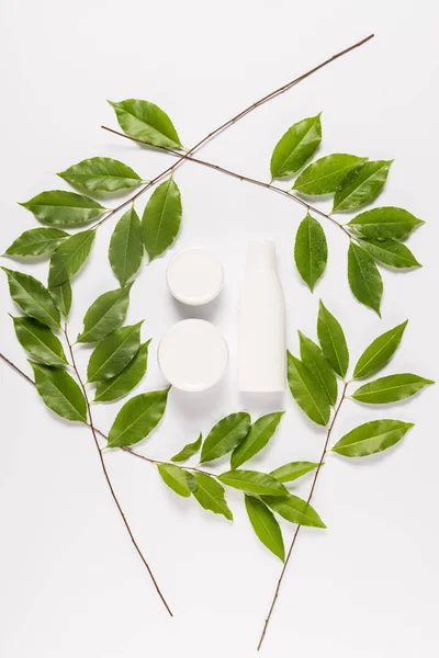 Cream and lotion with leaves — Stock Photo