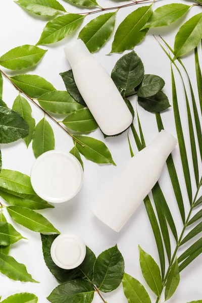 Organic cream and lotion — Stock Photo