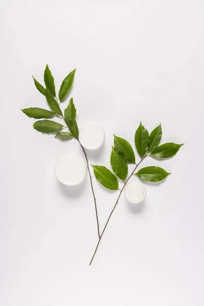 Crema orgánica con hojas - foto de stock