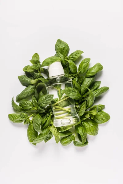 Bottle with mint oil — Stock Photo