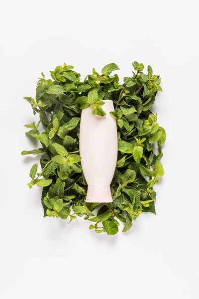 Loción orgánica en hojas de menta - foto de stock