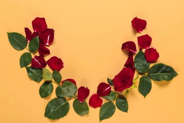 Petals and red rose — Stock Photo