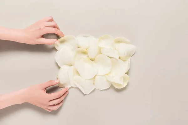 Hands with rose petals — Stock Photo