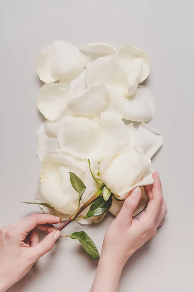Main avec fleur rose — Photo de stock