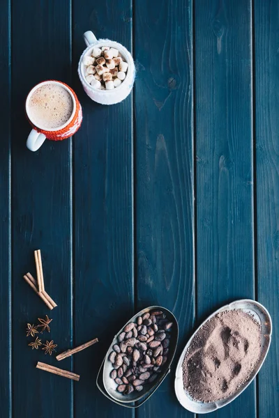 Tassen Kakao und Gewürze — Stockfoto