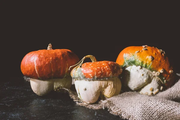 Calabazas maduras sobre tela de saco - foto de stock