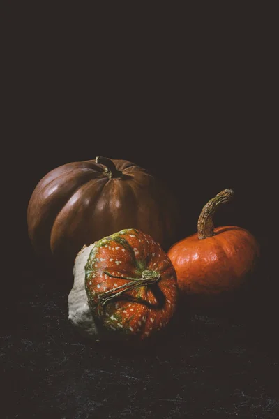 Calabazas - foto de stock