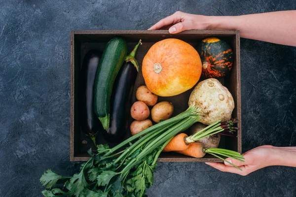 Caja con verduras en las manos - foto de stock