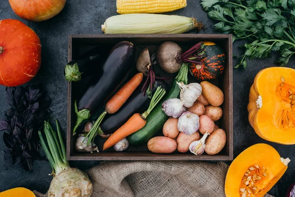 Verduras maduras en caja - foto de stock